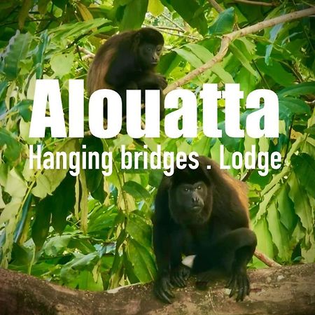 Alouatta Lodge And Canopy Cahuita Eksteriør billede