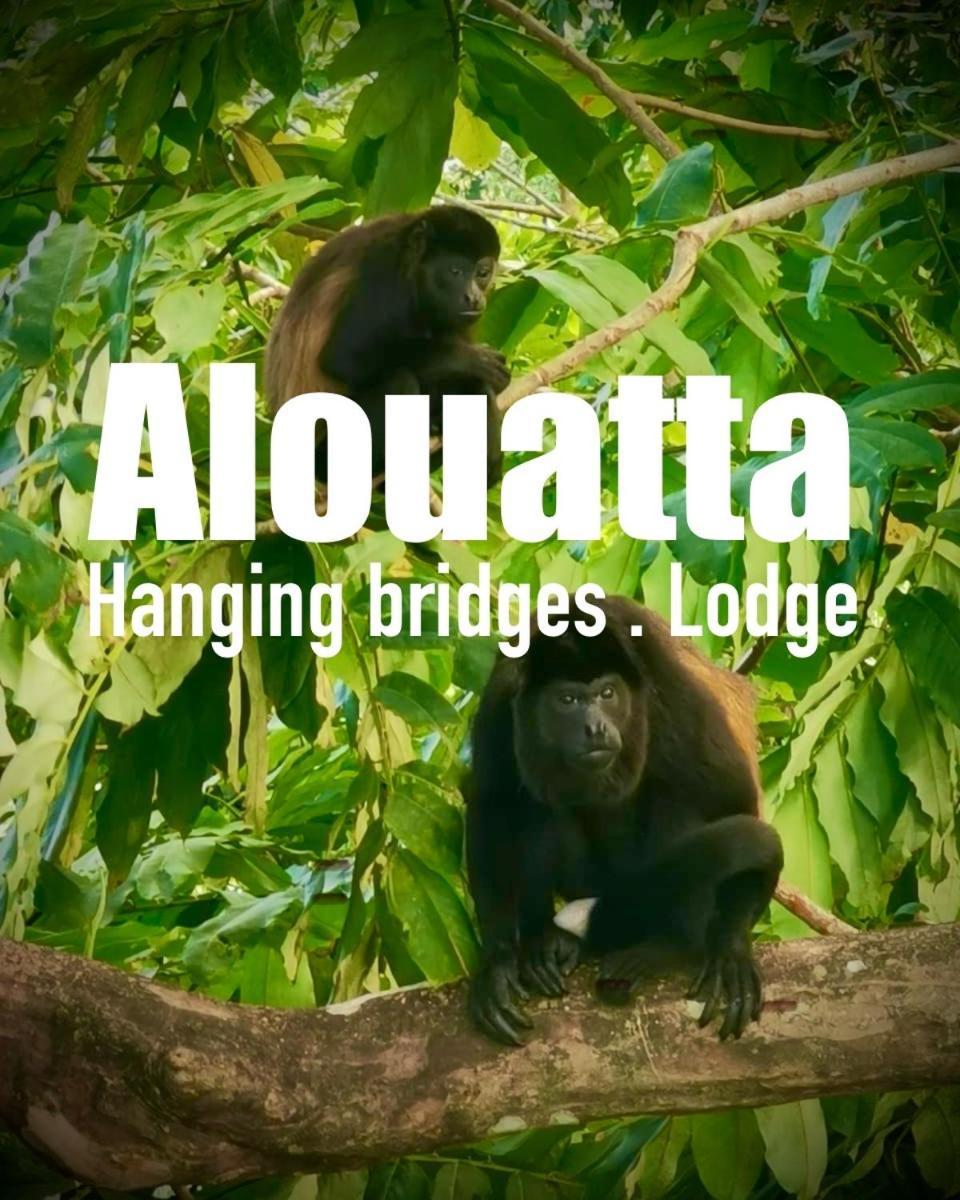 Alouatta Lodge And Canopy Cahuita Eksteriør billede