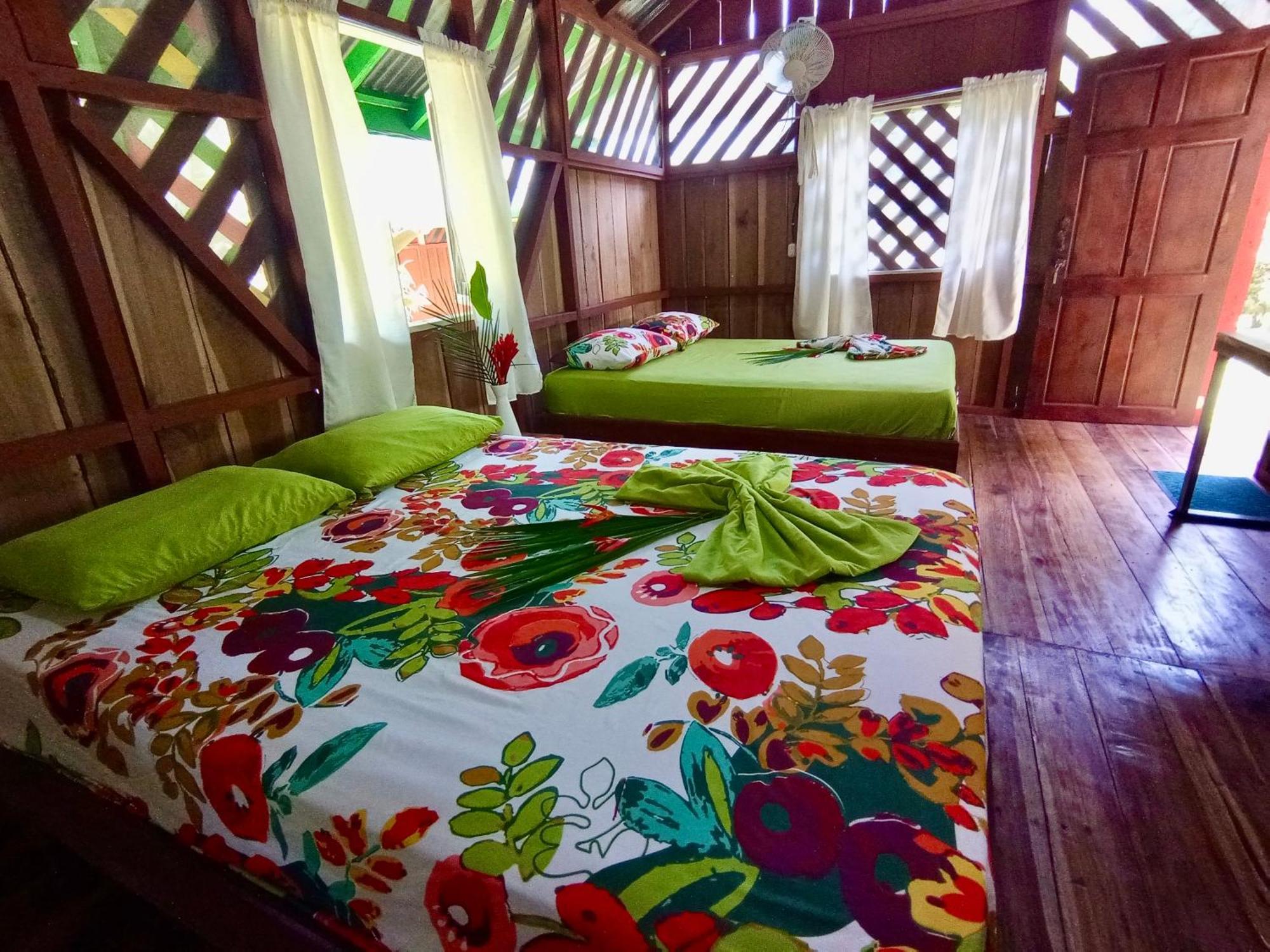 Alouatta Lodge And Canopy Cahuita Eksteriør billede