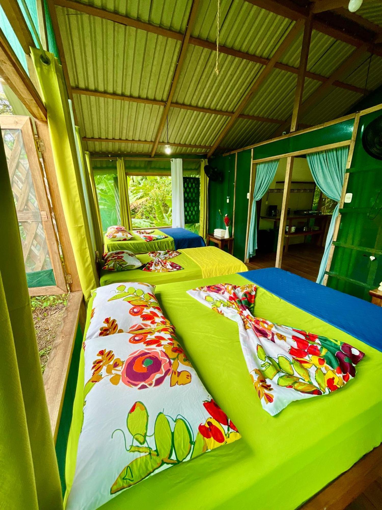 Alouatta Lodge And Canopy Cahuita Eksteriør billede