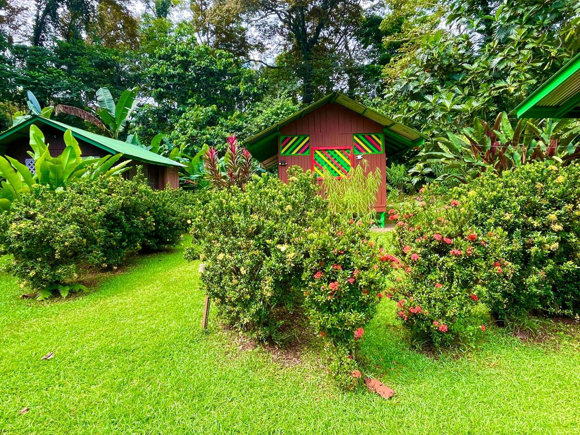 Alouatta Lodge And Canopy Cahuita Eksteriør billede
