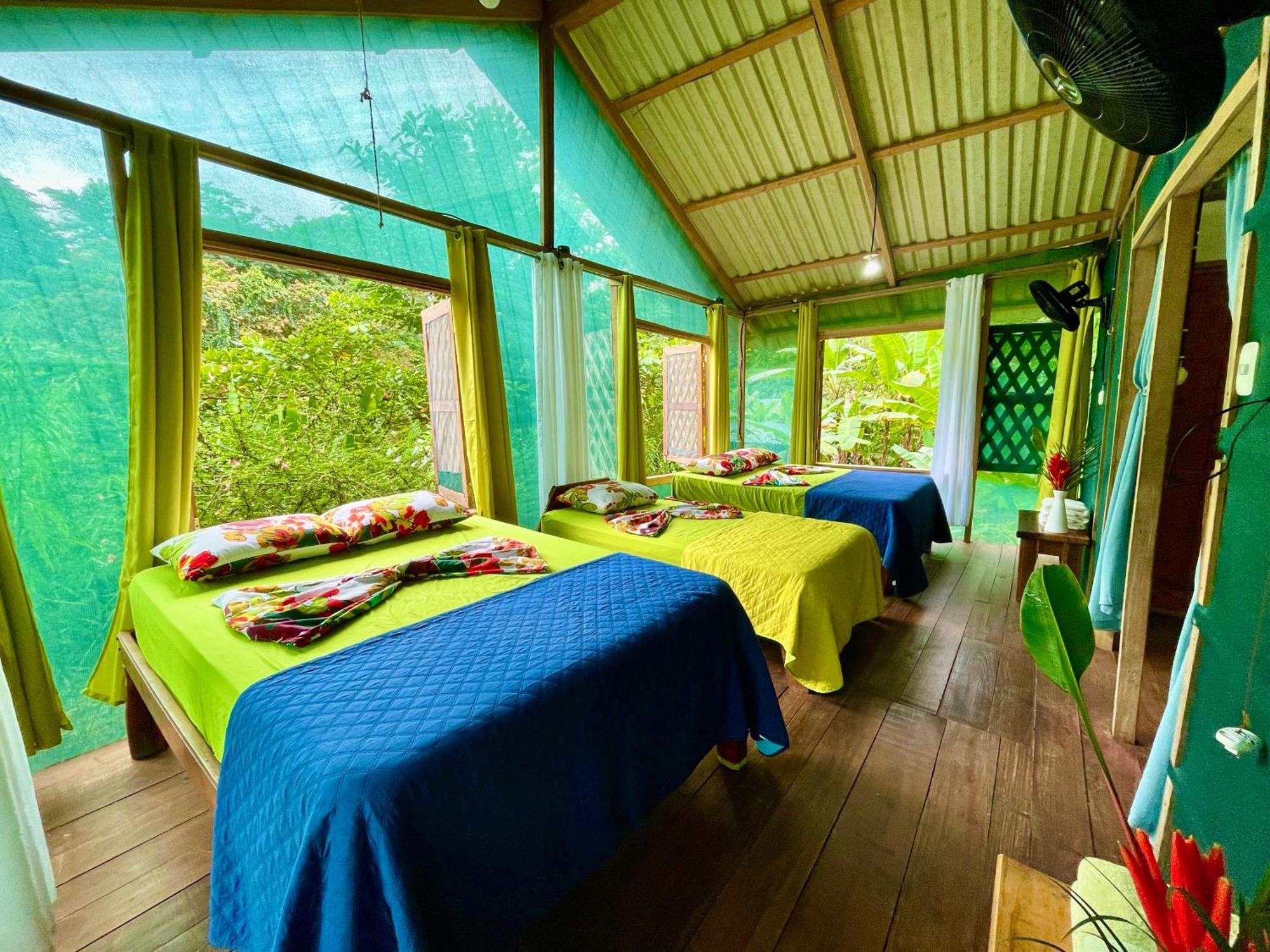 Alouatta Lodge And Canopy Cahuita Eksteriør billede