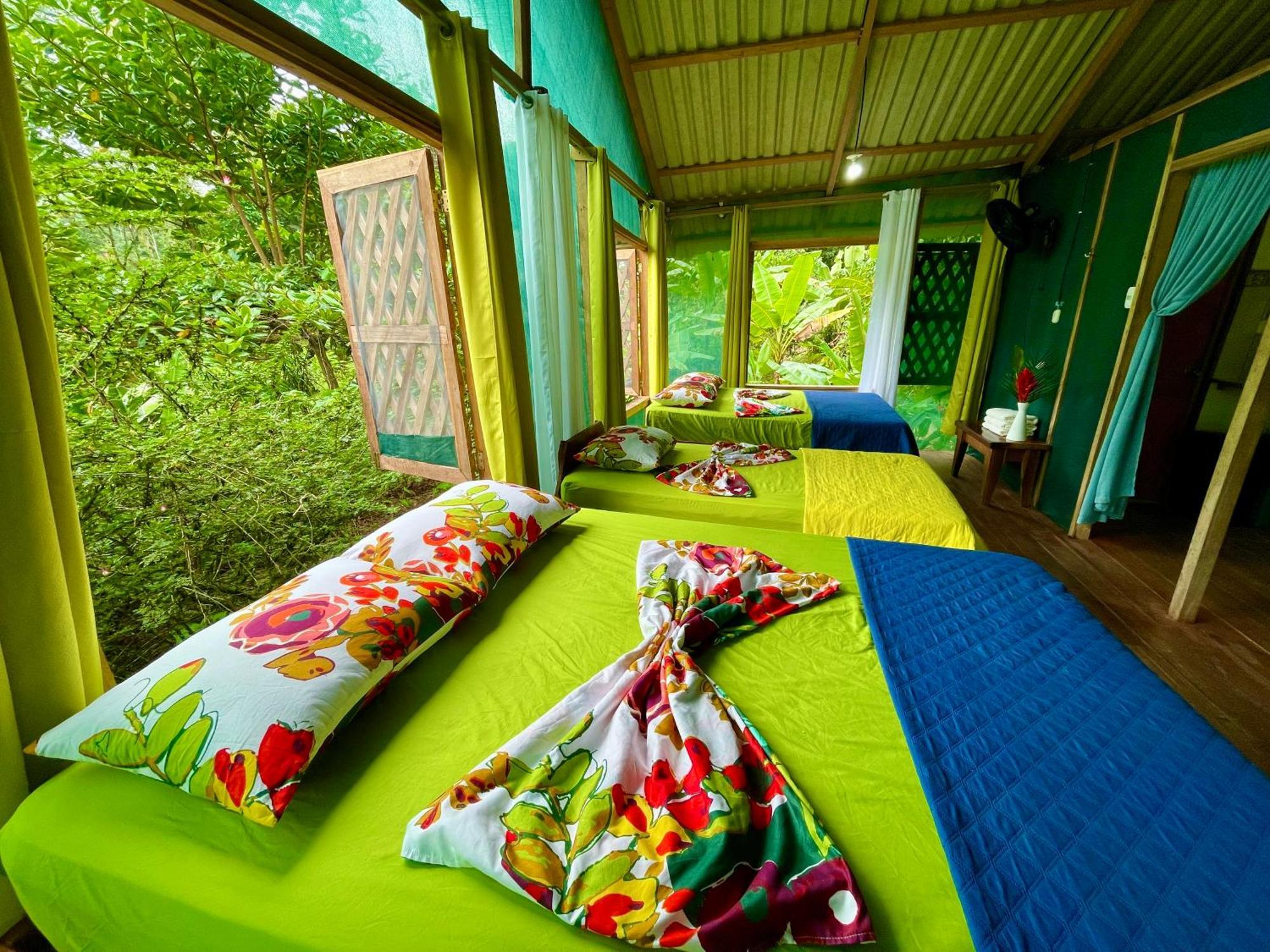 Alouatta Lodge And Canopy Cahuita Eksteriør billede