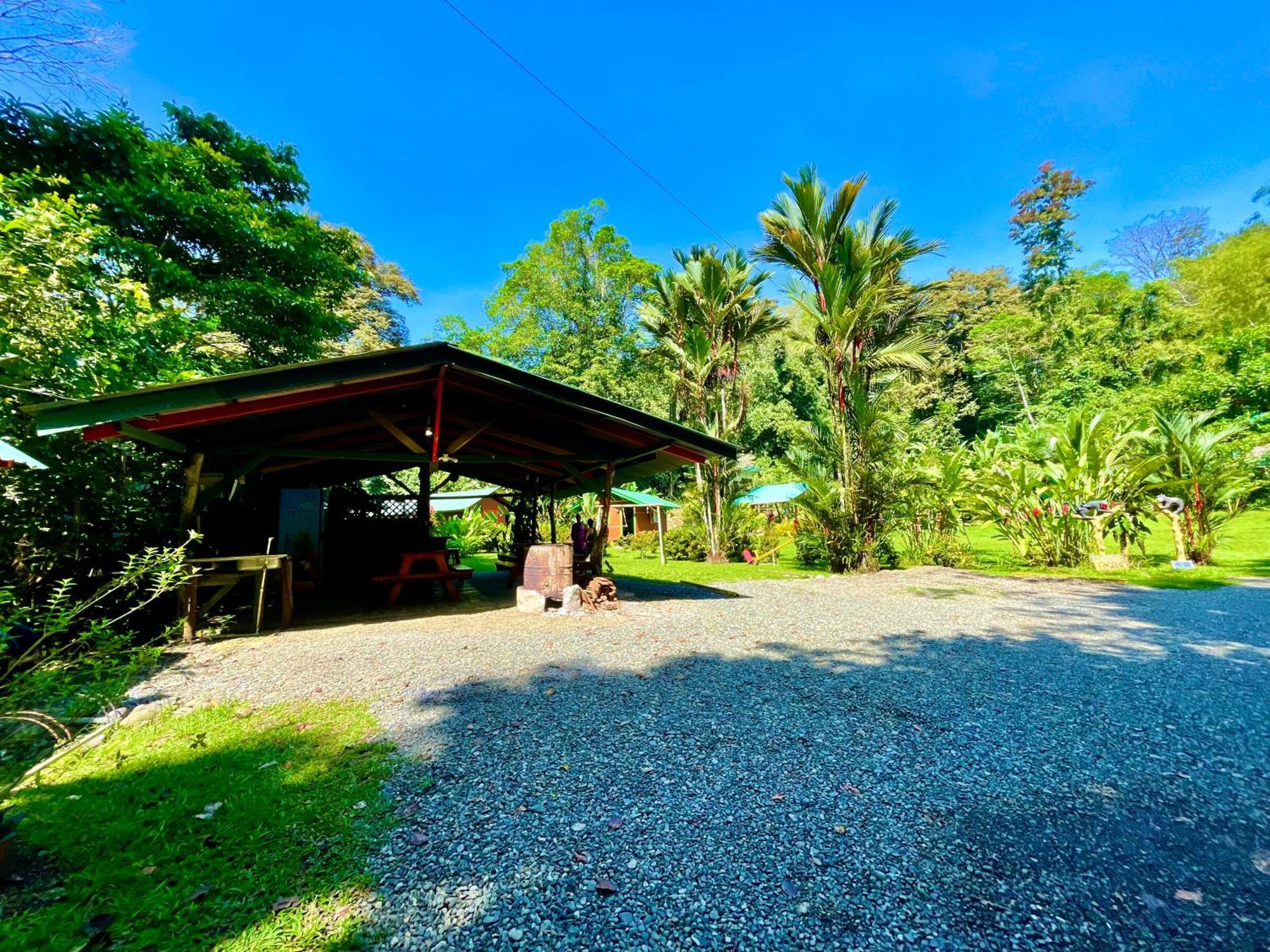 Alouatta Lodge And Canopy Cahuita Eksteriør billede
