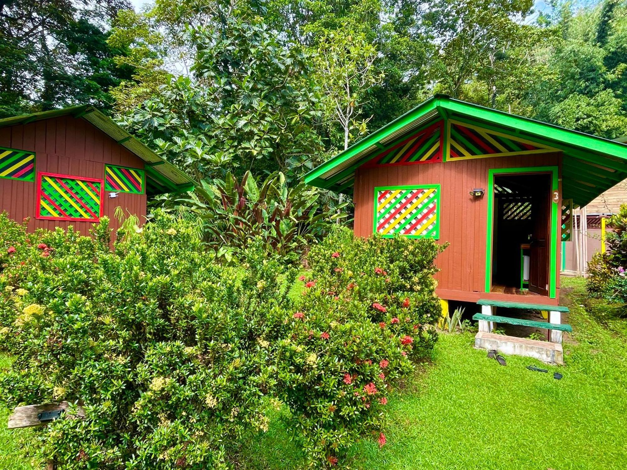 Alouatta Lodge And Canopy Cahuita Eksteriør billede
