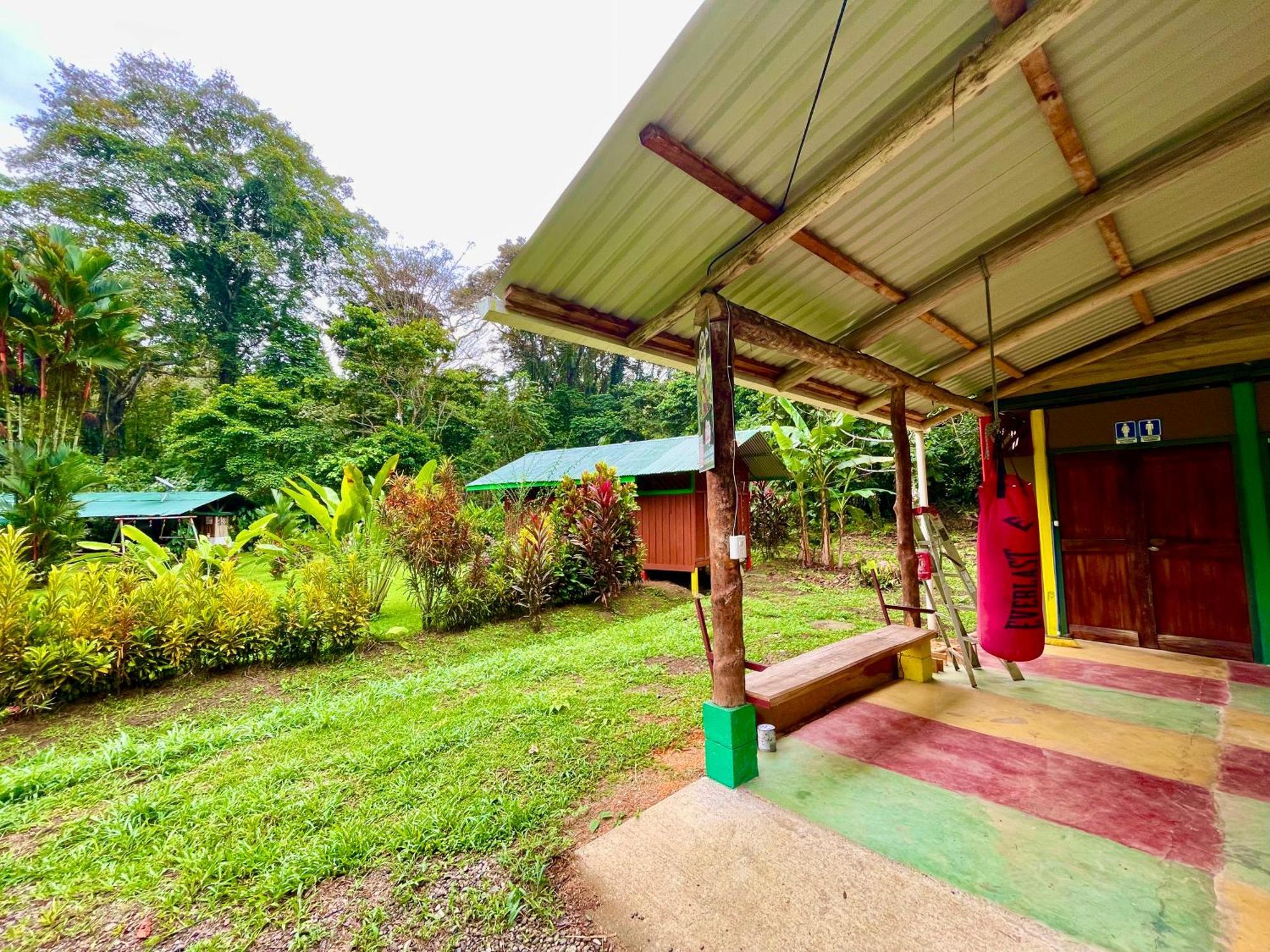 Alouatta Lodge And Canopy Cahuita Eksteriør billede