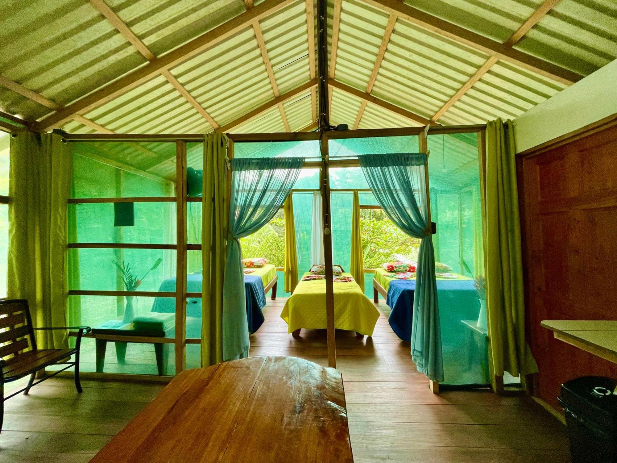 Alouatta Lodge And Canopy Cahuita Eksteriør billede