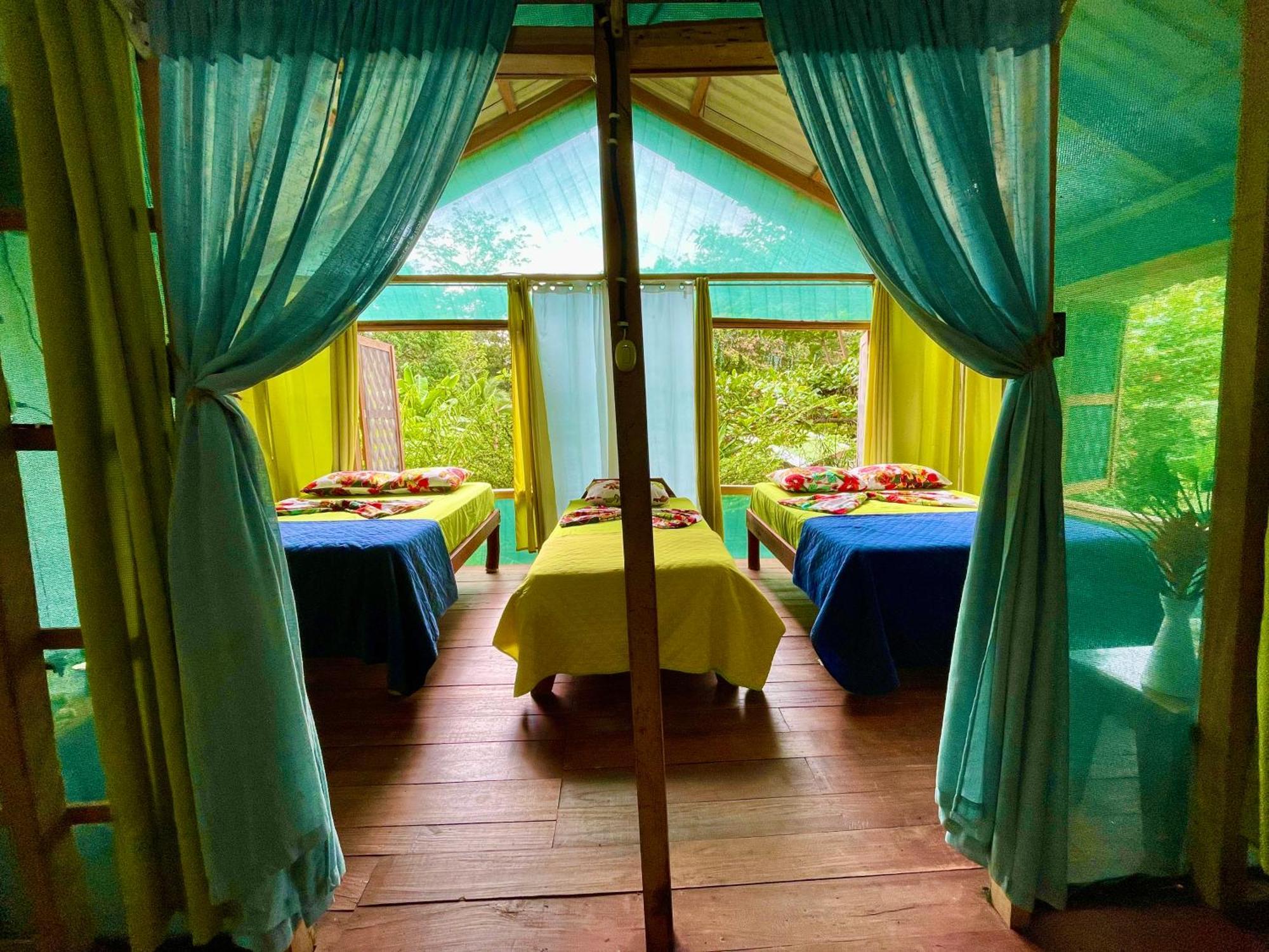 Alouatta Lodge And Canopy Cahuita Eksteriør billede