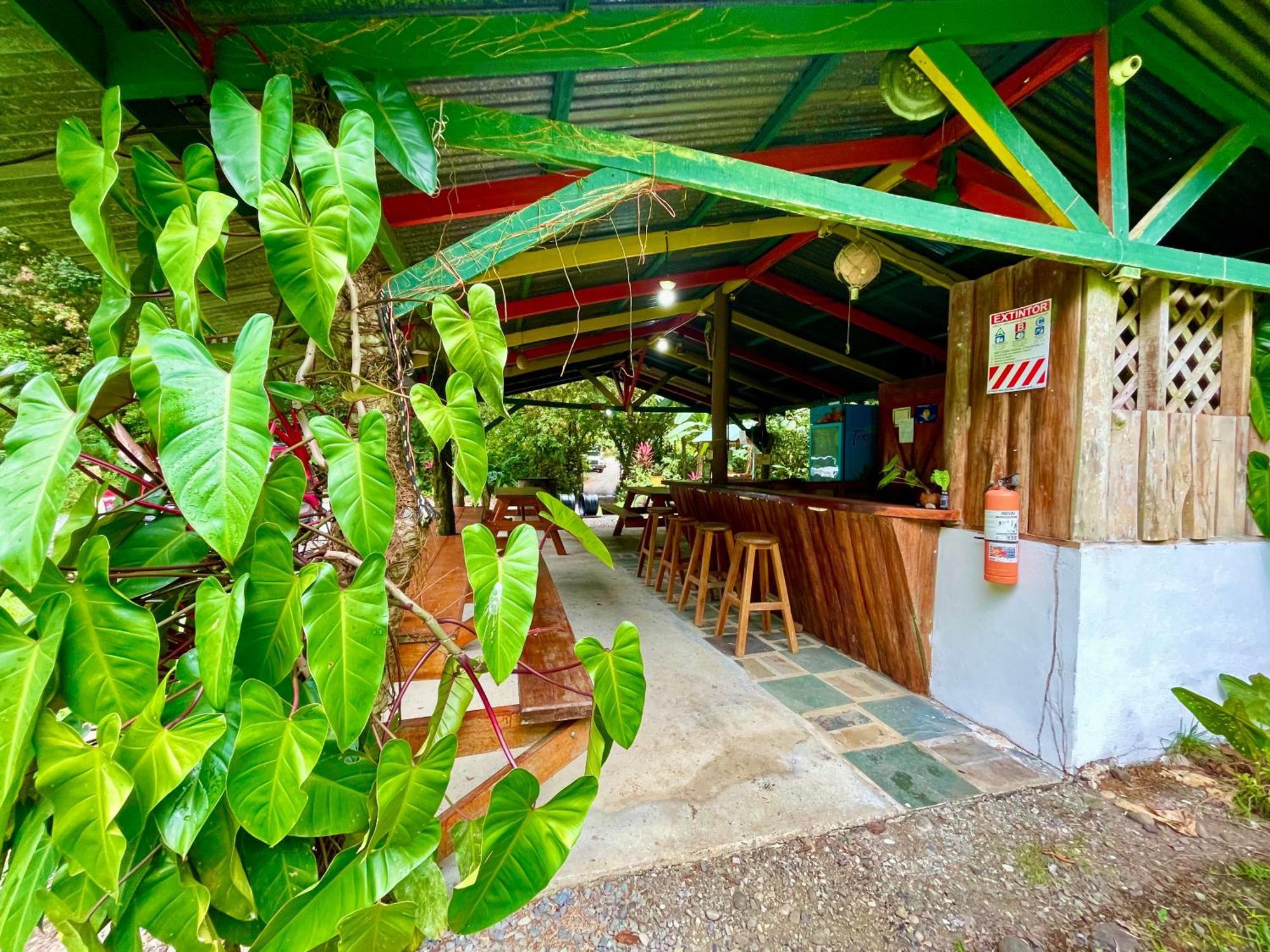 Alouatta Lodge And Canopy Cahuita Eksteriør billede