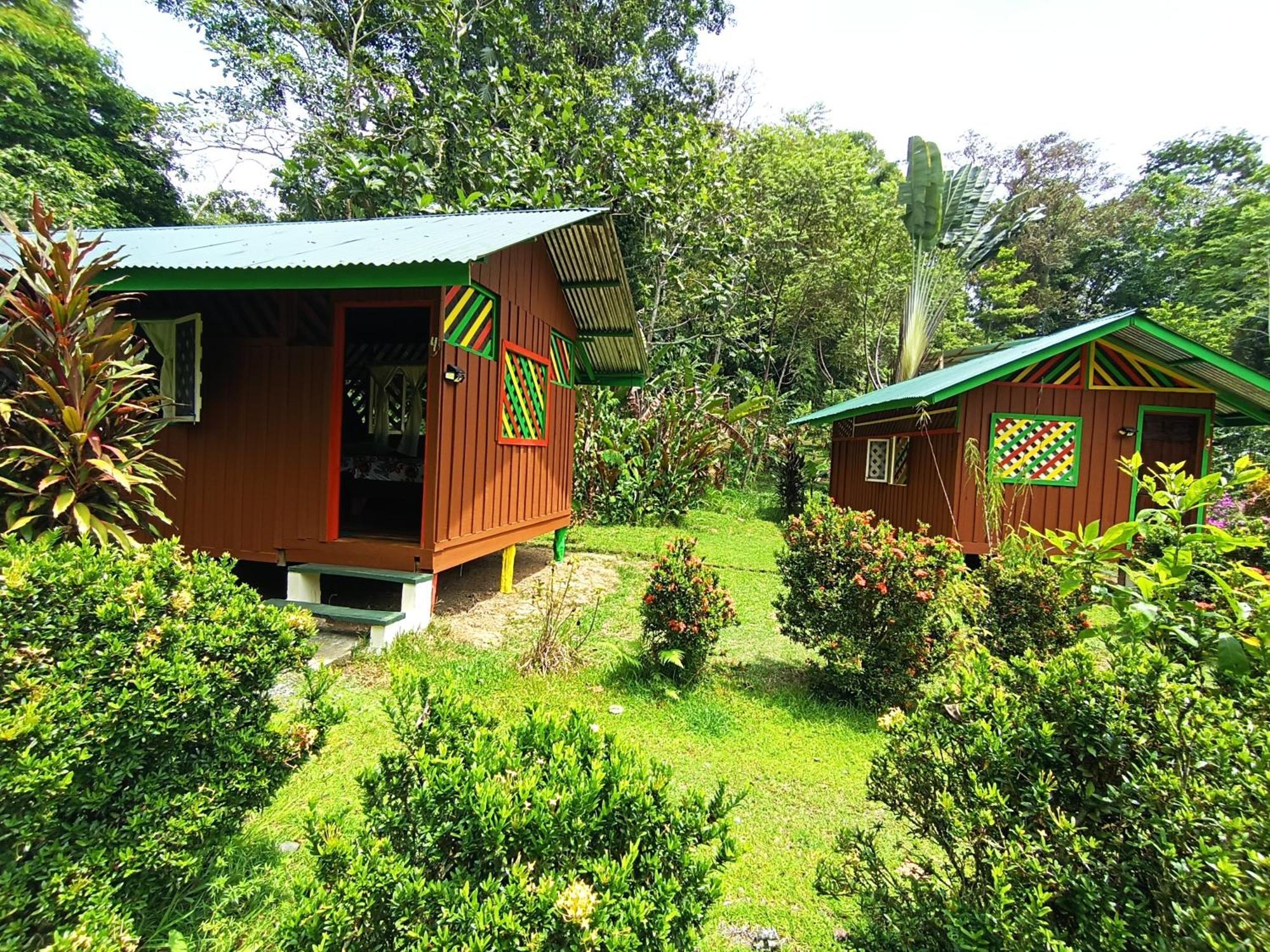 Alouatta Lodge And Canopy Cahuita Eksteriør billede
