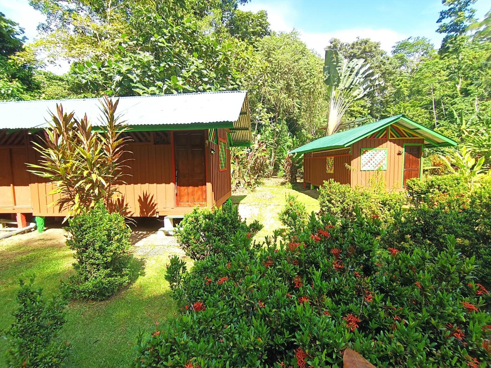 Alouatta Lodge And Canopy Cahuita Eksteriør billede